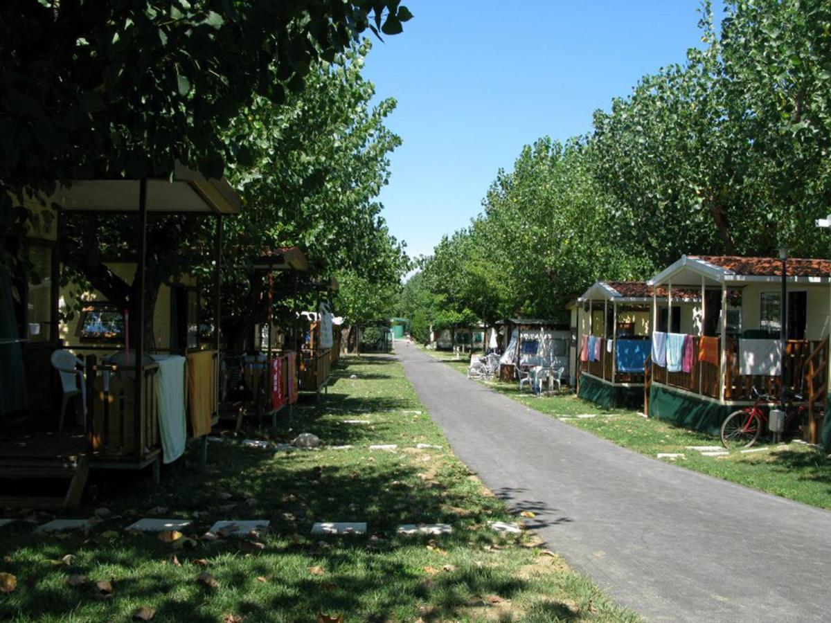 L'oasi Di Lulu' Senigallia