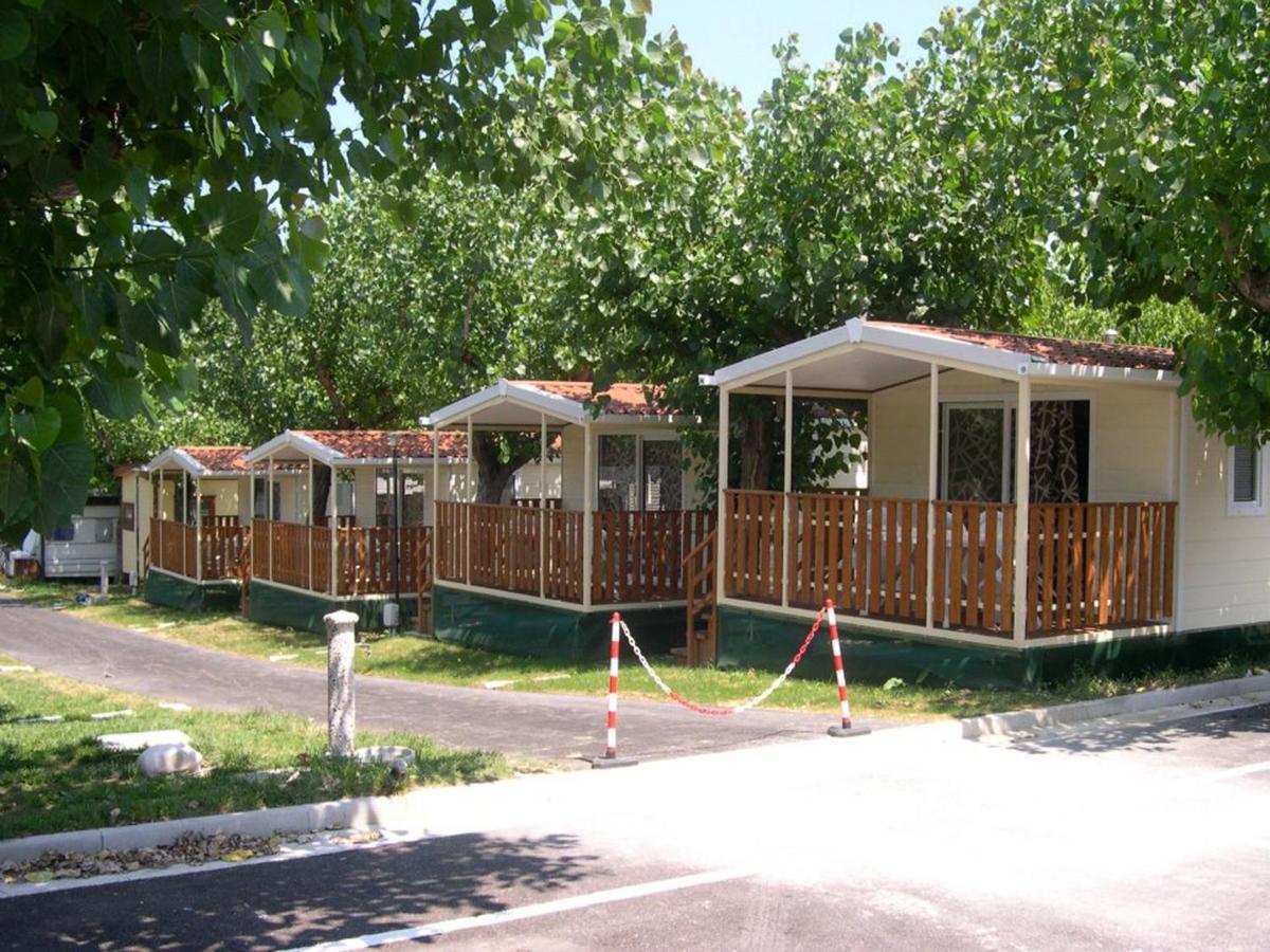 L'oasi Di Lulu' Senigallia
