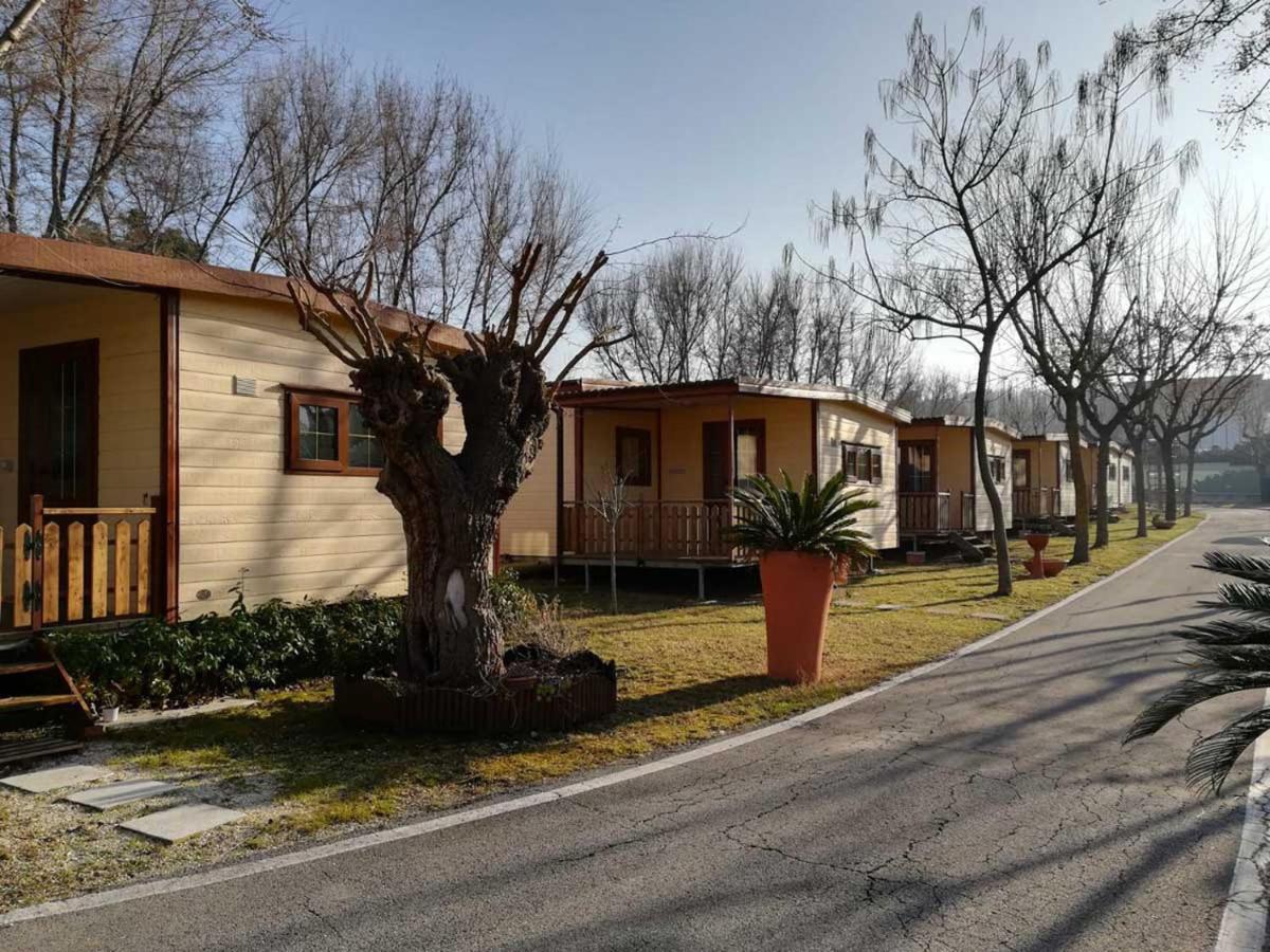 Campsite L'oasi Di Lulu' Senigallia