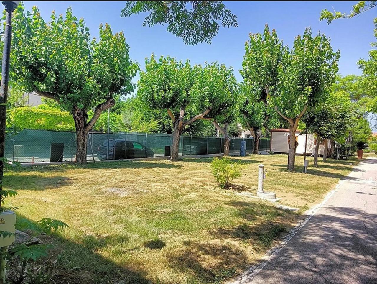Campsite L'oasi Di Lulu' Senigallia